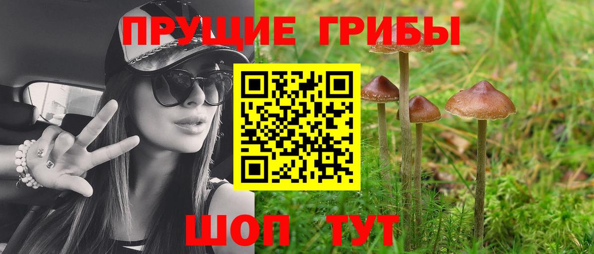 Галлюциногенные грибы прущие грибы  Вход с VPN  купить наркотик  Псилоцибиновые грибы Psilocybine cubensis  Богородицк 